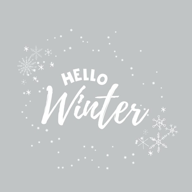 Hola invierno 2022. Letras con copos de nieve. Ilustración de vector de invierno.