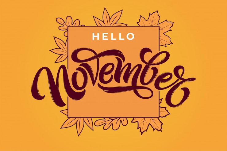 Vector hola letras de pincel de noviembre en marco rectangular.