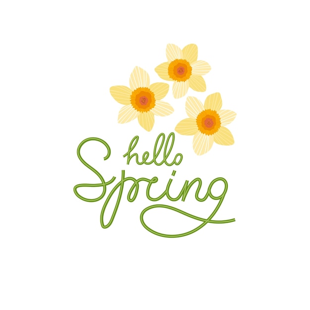 Hola letras de primavera Hermosas flores de narcisos de primavera Diseño para cartel postal banner Ilustración vectorial dibujada a mano