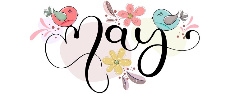 Vector hola mayo mes de mayo vector con flores mariposa y hojas decoraciónobra de arte e ilustracion