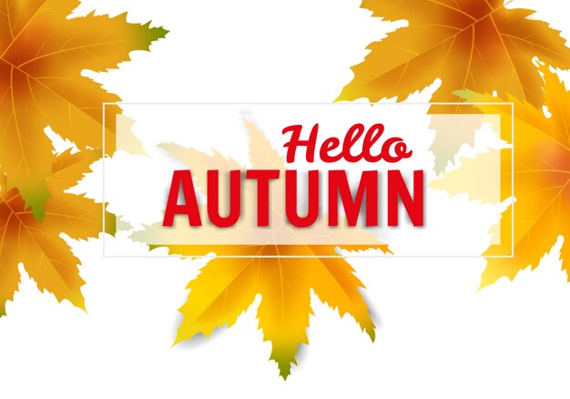 Hola otoño cayendo hojas colorido otoño