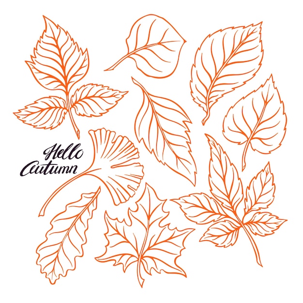 Hola otoño hermoso conjunto de boceto naranja hojas de otoño ilustración dibujada a mano