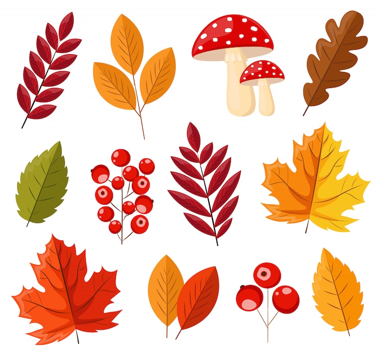 Vector hola otoño, hojas de otoño, bayas rojas y setas planas, conjunto aislado de hojas de colores, ilustración de elementos de otoño