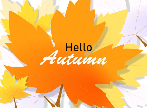 Hola otoño sobre fondo de hoja de arce naranja Ilustración vectorial eps 10