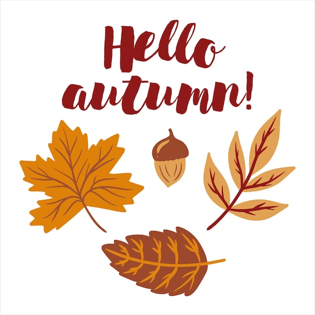 Vector hola otoño temporada de otoño diseño de decoración hojas naranjas y rojas con bellota