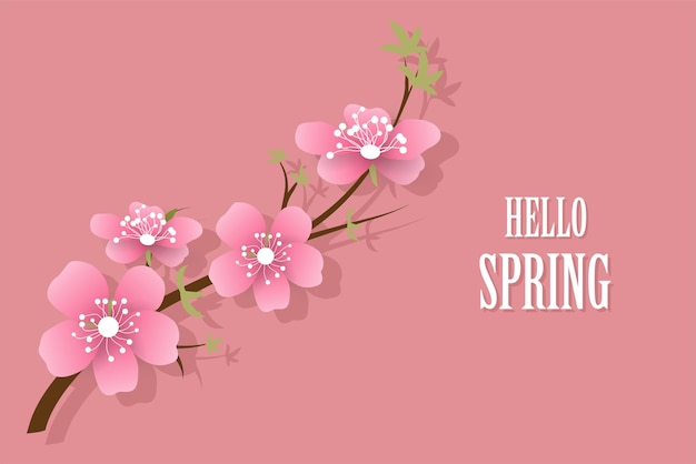 Hola primavera Árbol floreciente rosa Rama de sakura Cerezo japonés Ilustración vectorial