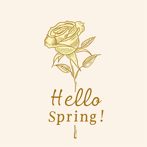 Hola Primavera Palabras Diseño La primavera florece la renovación fresca el crecimiento florece