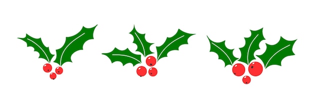 Holly berry Navidad vector iconos temporada decoración conjunto invierno plantas vacaciones ilustración
