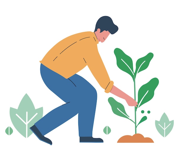 hombre arrancando las hojas de la planta en el jardín ilustración vectorial plana