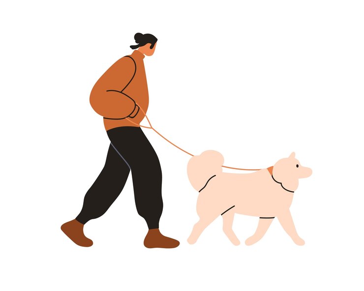 Vector hombre caminando con perro propietario de mascota sosteniendo la correa liderando lindo perro de raza samoyed perfil de compañero paseo matutino con cachorro animal canino ilustración vectorial plana aislada sobre fondo blanco
