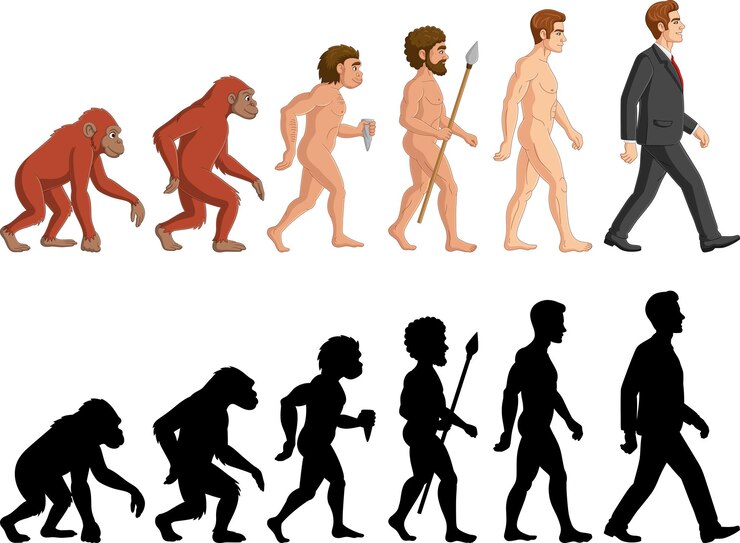 Vector hombre de evolución de dibujos animados sobre fondo blanco
