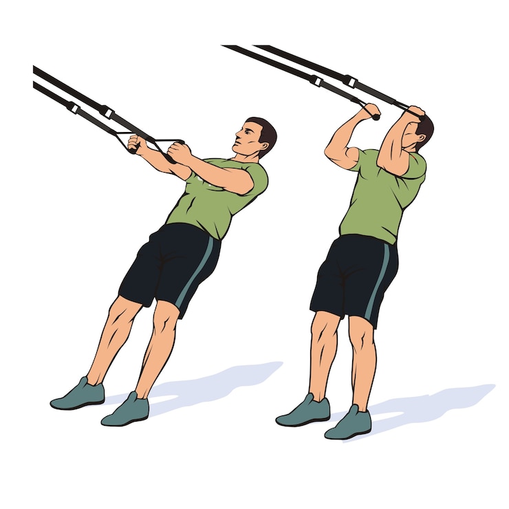 Vector hombre fuerte haciendo flexiones de bíceps con sistema de suspensión trx
