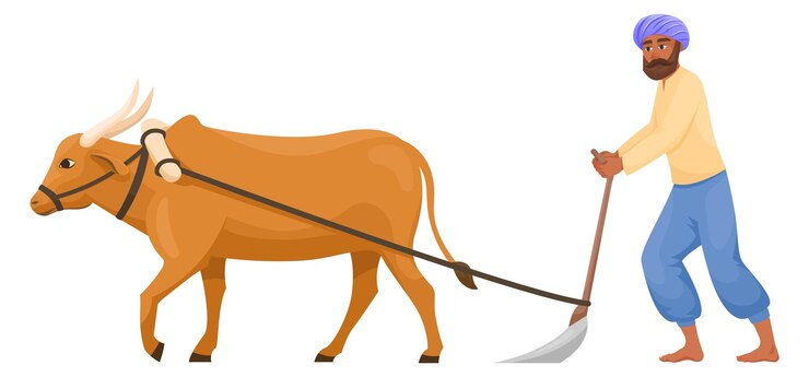 Vector hombre indio arando toro de dibujos animados agricultura rural aislado sobre fondo blanco
