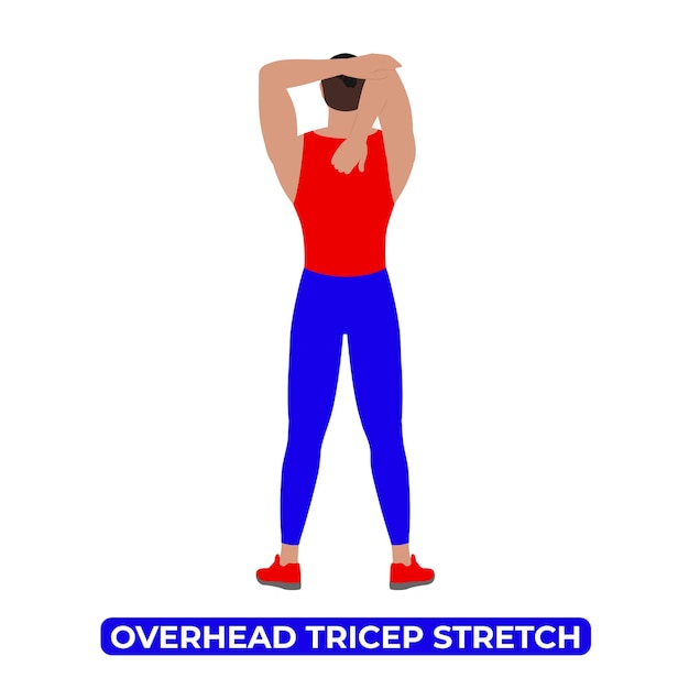 Vector hombre vectorial haciendo un estiramiento de tríceps en el aire una ilustración educativa sobre un fondo blanco
