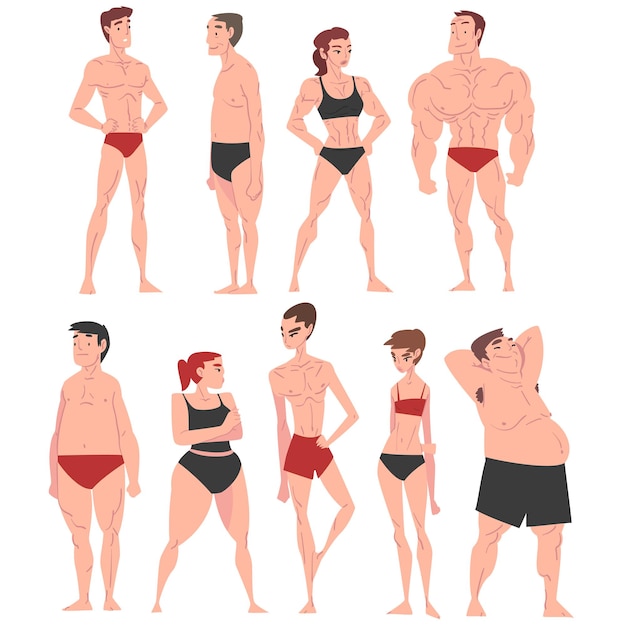 Vector hombres y mujeres en ropa interior constitución del cuerpo humano diferente tipos de cuerpo masculino y femenino ilustración vectorial de estilo de dibujos animados