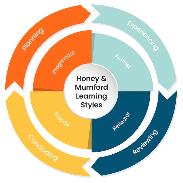 Honey and Mumford Learning Styles Model vector infográfico