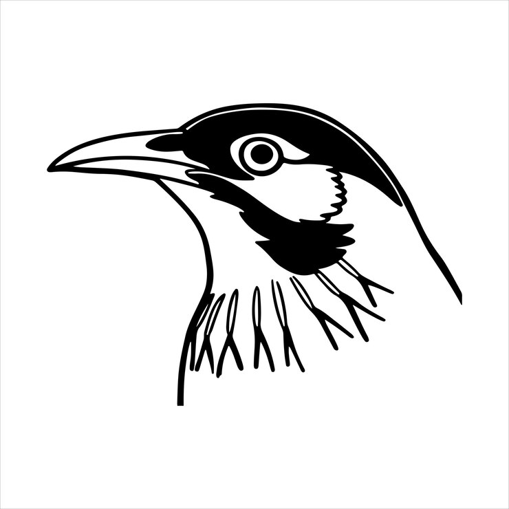 Vector el honeyeater de cara azul es un pájaro australiano vibrante con llamativas marcas faciales