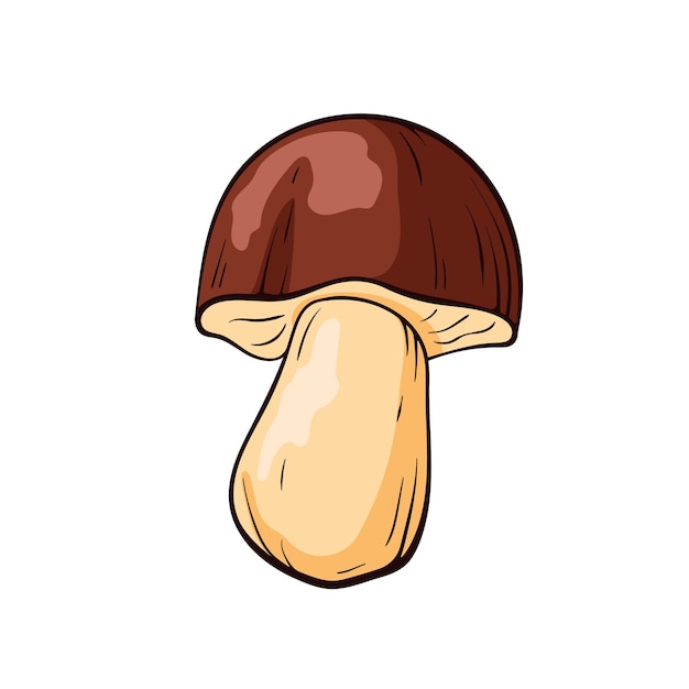 Hongo Boletus con una tapa marrón y un tallo beige en diseño de estilo de dibujos animados para proyectos culinarios de la naturaleza