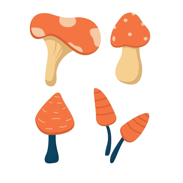 hongo, clipart, ilustración, gráfico, dibujo a mano, ingrediente, comida