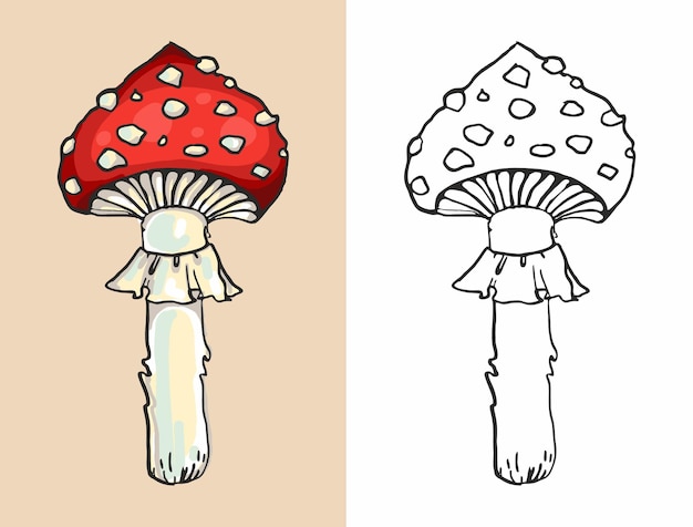 Hongo de hongos del agárico de mosca no comestible Amanita muscaria Hongos venenosos para colorear, pintar e imprimir