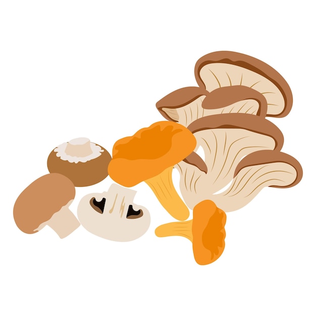 Vector un hongo de vida muerta aislado sobre un fondo blanco vector champignons chanterelles y colgadores