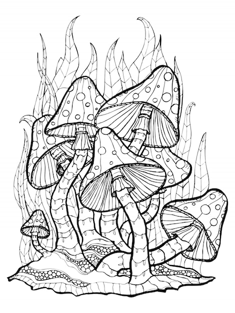 Hongos. Amanita. Dibujo para colorear dibujo estilo grabado.