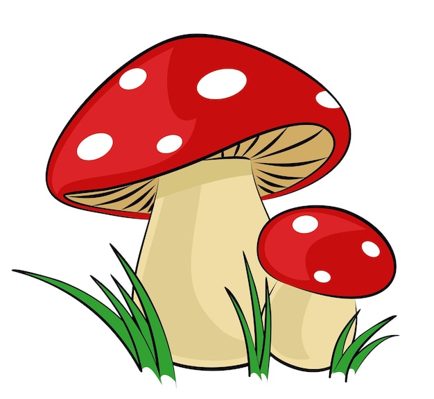 Los hongos del bosque con una hierba verde
