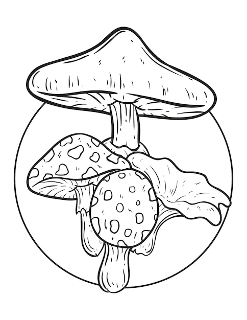 Hongos para colorear dibujos de hongos dibujados a mano dibujo de esquema de hongos ilustración de hongos