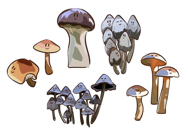 Hongos de dibujos animados rebozuelos de hongos venenosos y comestibles cep amanita y trufa conjunto de ilustraciones vectoriales aisladas tipos de hongos silvestres del bosque