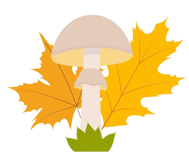 Hongos y hojas de otoño en vector aislado de diseño plano