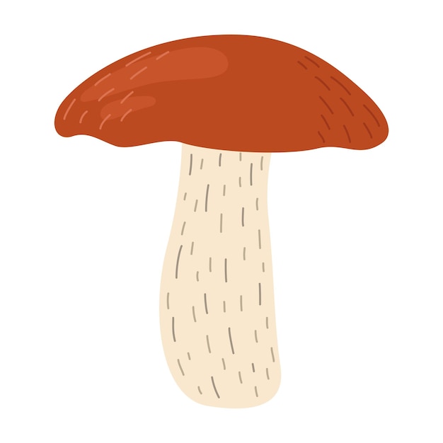 Los hongos leccinum de los hongos bolete de abedul naranja