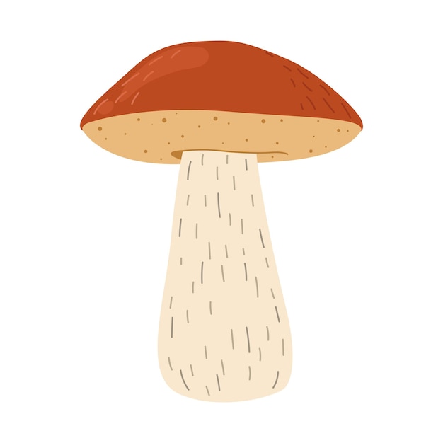Los hongos leccinum de los hongos bolete de abedul naranja