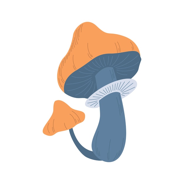 Hongos mágicos Un hongo venenoso del bosque místico inusual Un elemento dibujado a mano para su diseño Estilo de dibujos animados Vector clipart sobre un fondo blanco aislado