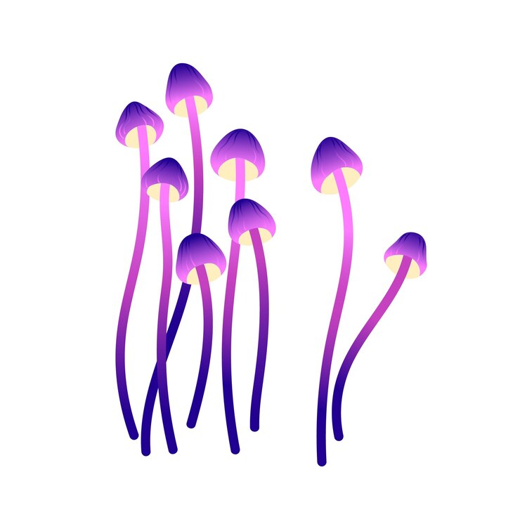 Vector hongos de miel falsos trippy boletus abstracto pequeños boletes alucinógenos hongos psicodélicos psilocibina hongo plantas venenosas planas ilustración de vector aislado plano sobre fondo blanco