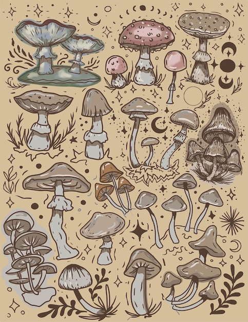 Los hongos místicos gráficos mágicos dibujados a mano las estrellas de la luna el tarot la intuición de la mosca el agarico los hongos poi