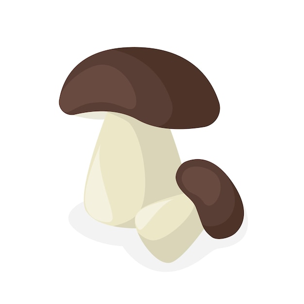 Los hongos porcini son comestibles.