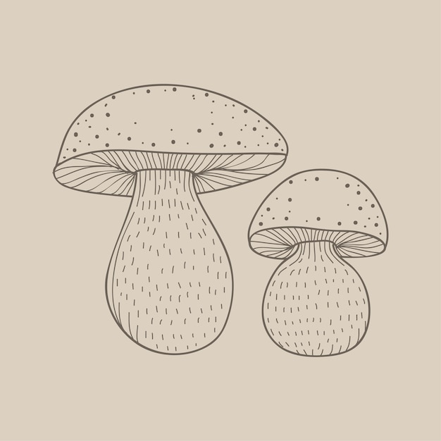 hongos y setas