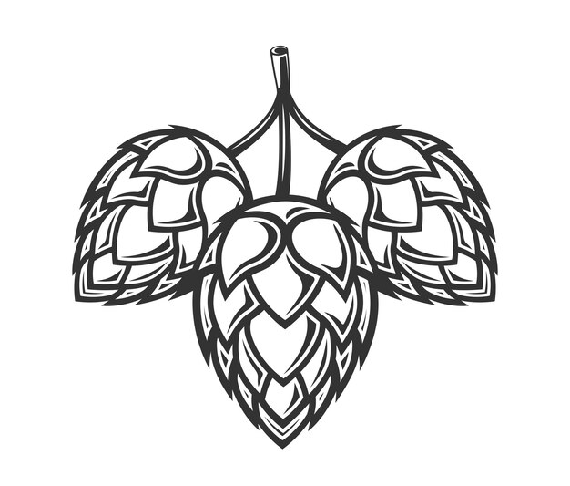 Hop aislado sobre fondo blanco.