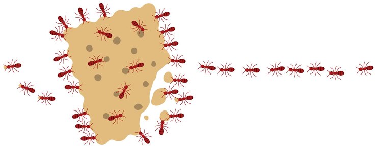 Vector las hormigas rojas comen galletas.