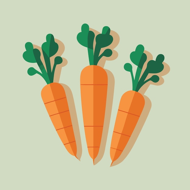 Vector hortalizas de raíz zanahorias color naranja