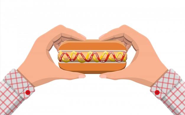 Hot Dog en manos