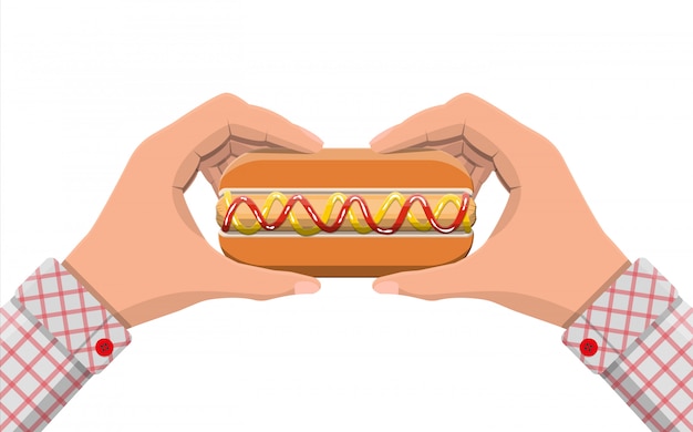 Vector hot dog en manos