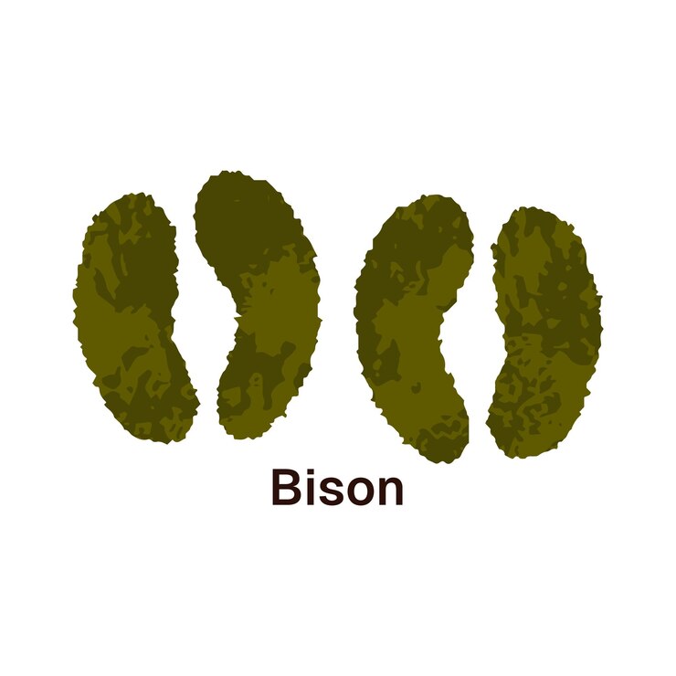 Vector huellas de bisonte americano con inscripción impresión de cascos siluetas en el suelo animales salvajes huellas de patas huellas de vida silvestre pistas icono ilustración de vector aislado plano en fondo blanco