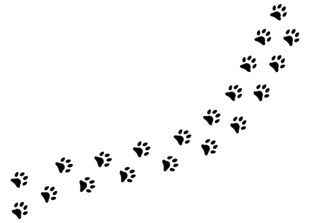 Huellas negras lindas de siluetas de pasos de pie de mascota ilustraciones vectoriales huellas de animales aisladas en textura blanca mascota de pata fresca
