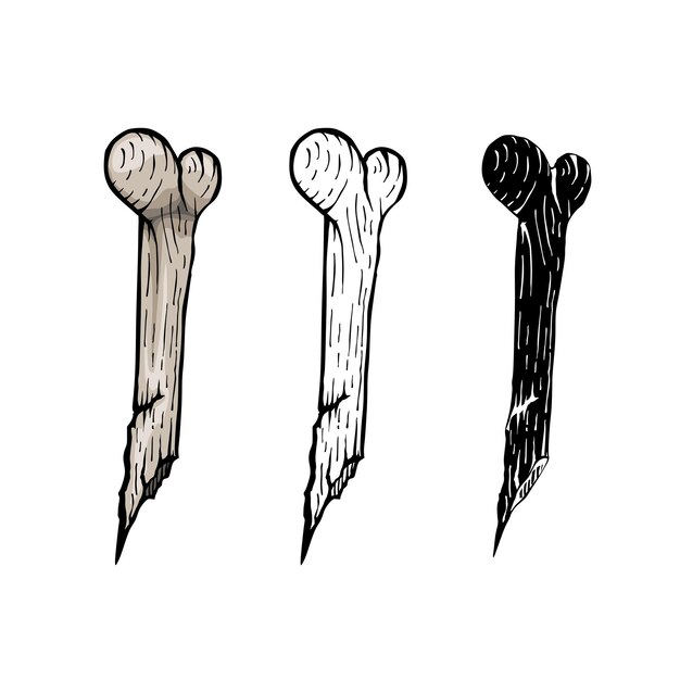 Huesos estilizados en dibujo con tinta