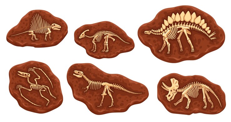 Vector huesos fósiles de dinosaurios de dibujos animados esqueletos en piedra