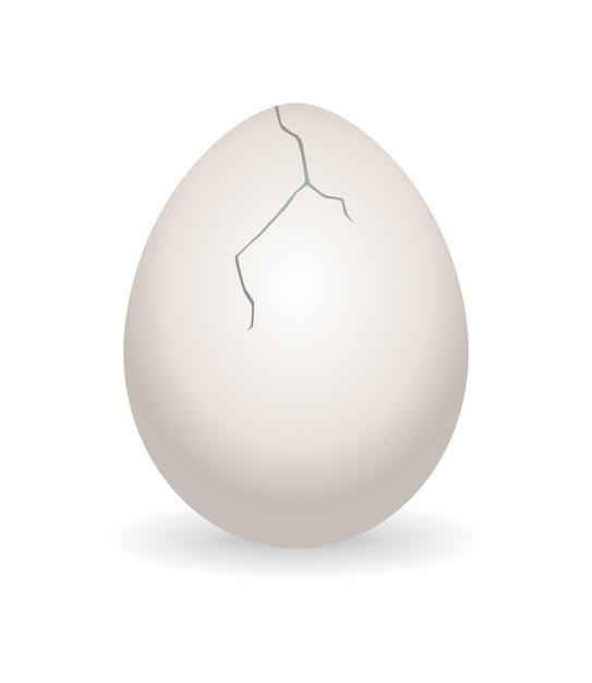 Huevo agrietado Etapa de agrietamiento de la cáscara de huevo Huevo de pollo realista con cáscara de huevo rota Elemento de diseño de huevo roto frágil