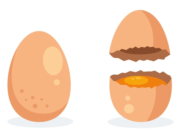 Huevo crack cáscara de huevo rota cáscara abierta concepto aislado diseño gráfico ilustración