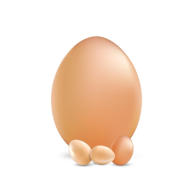 Huevo de gallina con arte de vector de espacio de copia