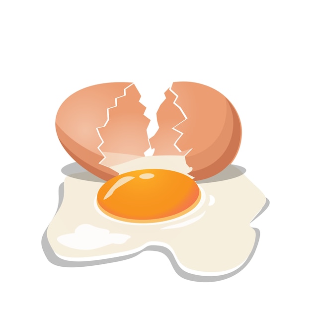 Vector huevo de gallina fresco tiene crack